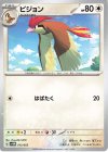  013/053 - ピジョン 