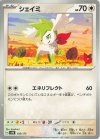 105/175 TD シェイミ