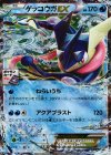 021/XY-P PROMO ゲッコウガEX