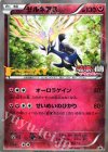  051/XY-P PROMO ゼルネアス 