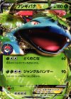 074/XY-P PROMO フシギバナEX
