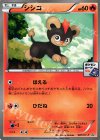 081/XY-P PROMO シシコ