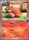  110/XY-P PROMO ロコン 