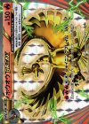 225/XY-P PROMO ホウオウBREAK
