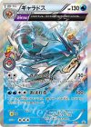 XY-P PROMO ギャラドス