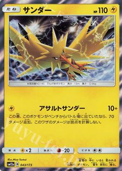 自己紹介 ごぼ ポケモンカードゲーム トレカ通販 買取ならカードショップ 遊々亭