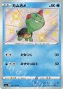 S カムカメ