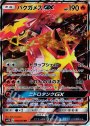 RR バクガメスGX