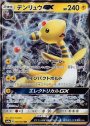 RR デンリュウGX