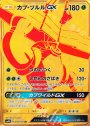 UR カプ・ブルルGX