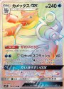 HR カメックスGX