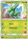 TD ストライク(リザードン)