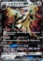 PROMO シルヴァディGX