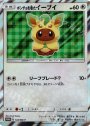 PROMO ポンチョを着たイーブイ