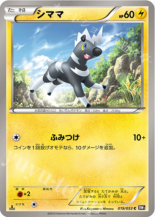 C シママ | 販売 | [BW1] 拡張パック ブラックコレクション | ポケモンカードゲーム