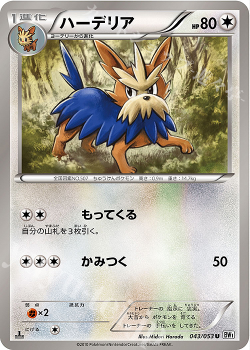 U ハーデリア | 販売 | [BW1] 拡張パック ホワイトコレクション | ポケモンカードゲーム