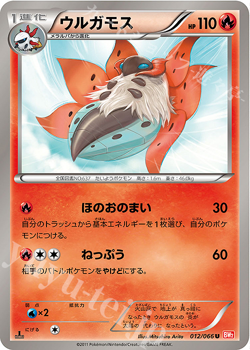 012 066 U ウルガモス 販売 ポケモンカードゲーム カードショップ 遊々亭