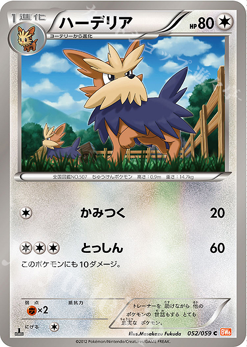 C ハーデリア | 販売 | [BW6] 拡張パック コールドフレア | ポケモンカードゲーム