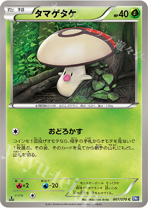 C タマゲタケ | 販売 | [BW7] 拡張パック プラズマゲイル | ポケモンカードゲーム