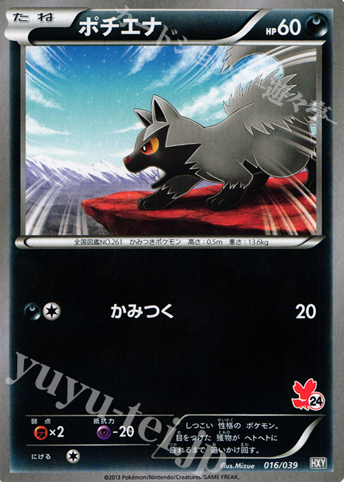 TD ポチエナ(フォッコ) | 販売 | [HXY] はじめてセット | ポケモンカードゲーム