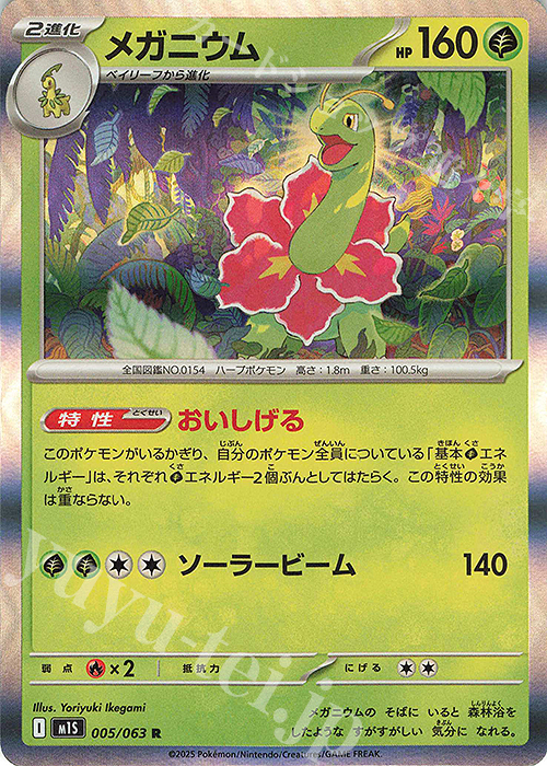 R メガニウム | 販売 | [M1S] 拡張パック メガシンフォニア | ポケモンカードゲーム