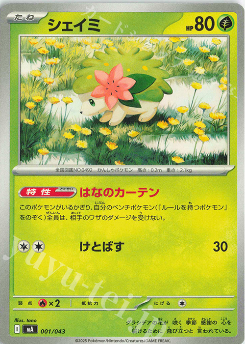 - シェイミ | 販売 | [MA] プレミアムトレーナーボックスMEGA | ポケモンカードゲーム