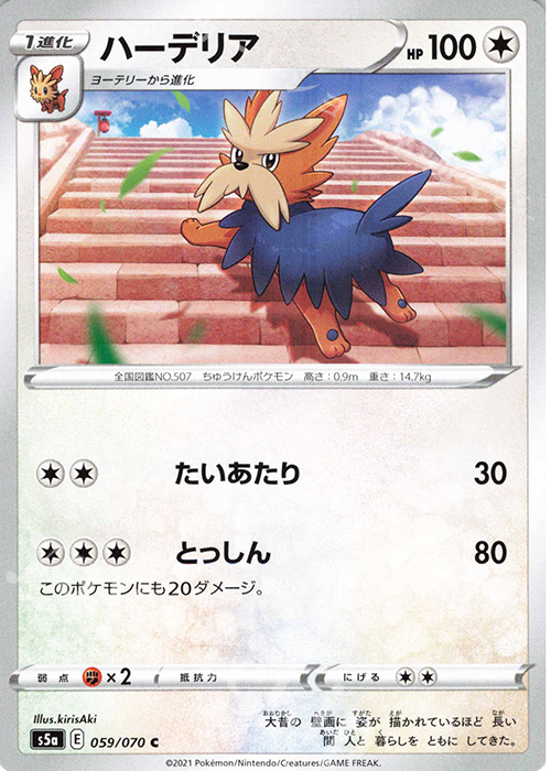 C ハーデリア | 販売 | [S5a] 強化拡張パック 双璧のファイター | ポケモンカードゲーム