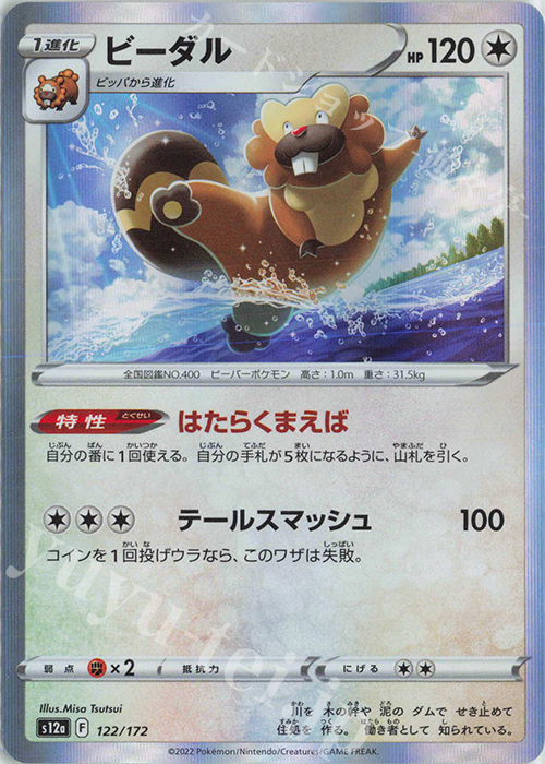 PSA10鑑定済〕ビーダル【AR】{200/172}