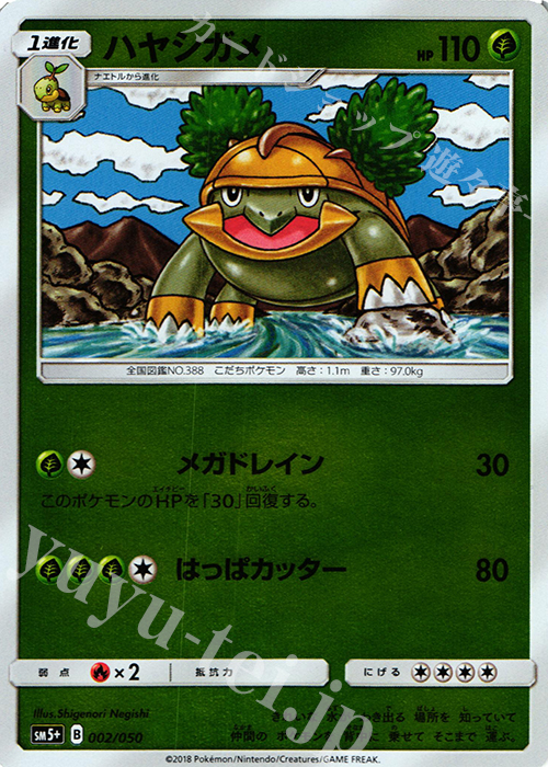 - ハヤシガメ(キラ) | 販売 | [SM5+] 強化拡張パック ウルトラフォース | ポケモンカードゲーム