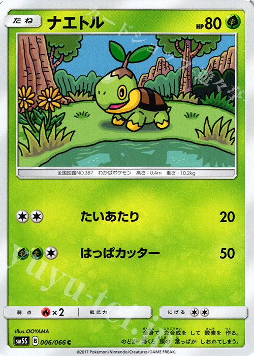 C ナエトル | 販売 | [SM5S] 拡張パック ウルトラサン | ポケモンカードゲーム