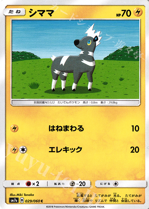 C シママ | 販売 | [SM7a] 強化拡張パック 迅雷スパーク | ポケモンカードゲーム