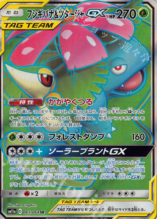 2022春夏新色】 ポケモンカー フシギバナ＆ツタージャgx sa srsa