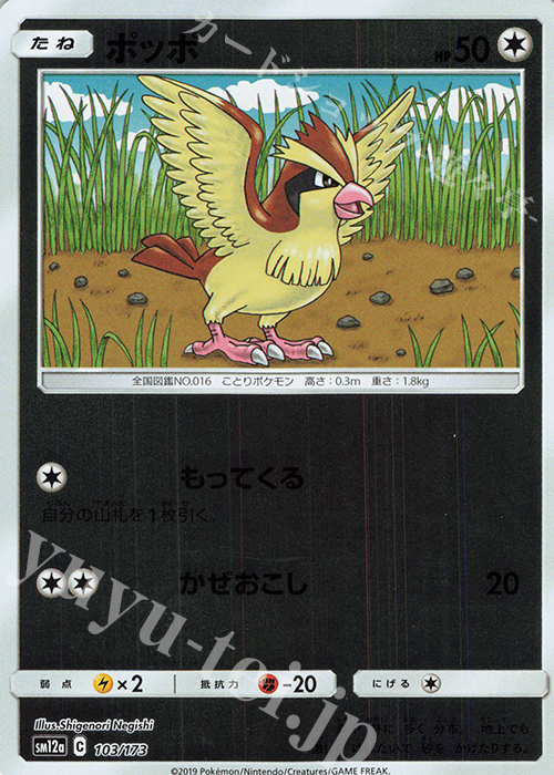 - ポッポ(キラ) | 販売 | [SM12a] ハイクラスパック TAG TEAM GX タッグオールスターズ | ポケモンカードゲーム