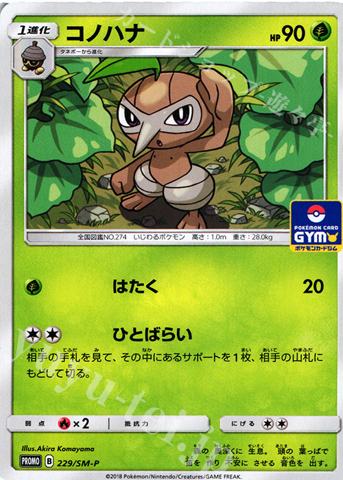 PROMO コノハナ | 買取 | SM プロモーションカード【201〜300】 | ポケモンカードゲーム