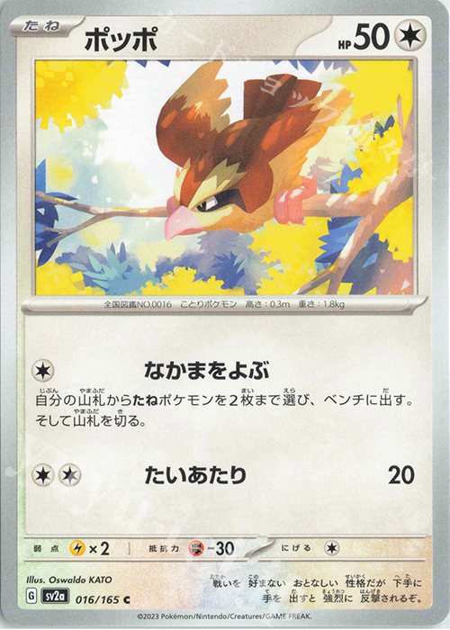 C ポッポ | 販売 | [SV2a] 強化拡張パック ポケモンカード151 | ポケモンカードゲーム