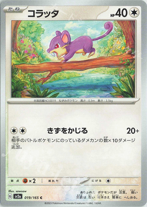 C コラッタ | 販売 | [SV2a] 強化拡張パック ポケモンカード151 | ポケモンカードゲーム
