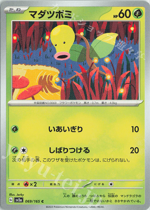 C マダツボミ | 販売 | [SV2a] 強化拡張パック ポケモンカード151 | ポケモンカードゲーム
