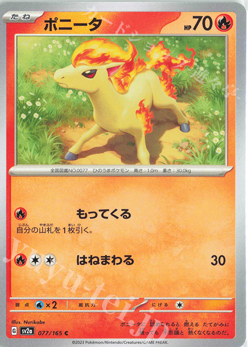 C ポニータ | 販売 | [SV2a] 強化拡張パック ポケモンカード151 | ポケモンカードゲーム
