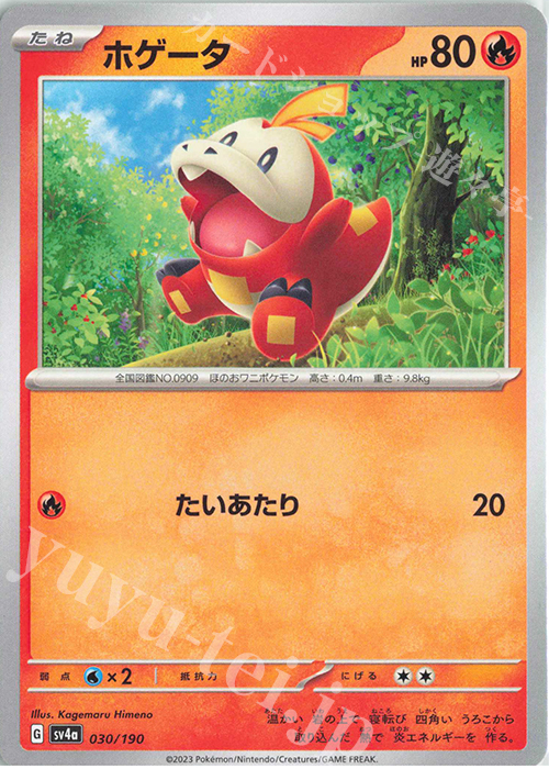 - ホゲータ | 販売 | [SV4a] ハイクラスパック シャイニートレジャーex | ポケモンカードゲーム