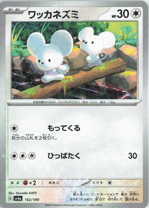 - ワッカネズミ(キラ) | 販売 | [SV4a] ハイクラスパック シャイニートレジャーex | ポケモンカードゲーム
