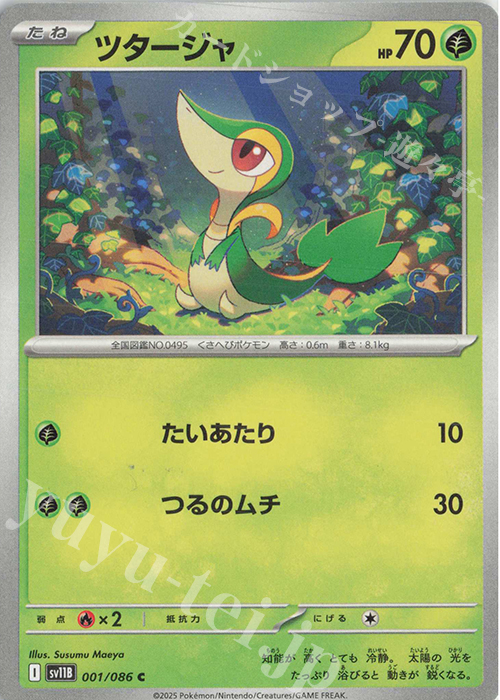 C ツタージャ | 販売 | [SV11B] 拡張パック ブラックボルト | ポケモンカードゲーム