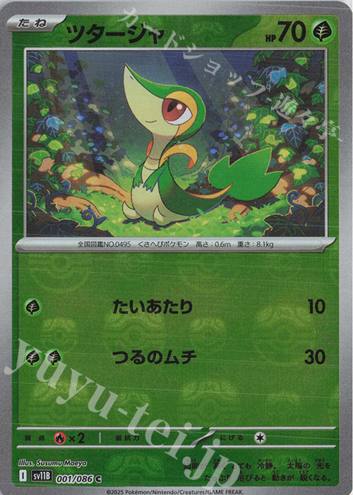 C ツタージャ(マスターボール柄/ミラー仕様) | 販売 | [SV11B] 拡張パック ブラックボルト | ポケモンカードゲーム