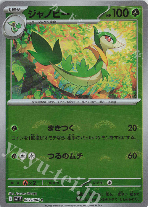 C ジャノビー(モンスターボール柄/ミラー仕様) | 販売 | [SV11B] 拡張パック ブラックボルト | ポケモンカードゲーム
