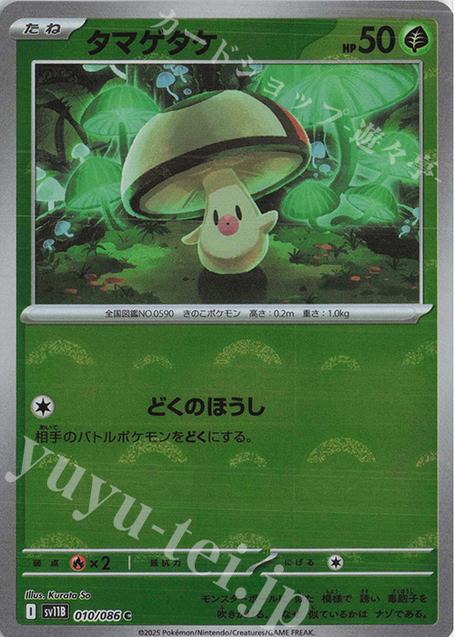 C タマゲタケ(モンスターボール柄/ミラー仕様) | 販売 | [SV11B] 拡張パック ブラックボルト | ポケモンカードゲーム