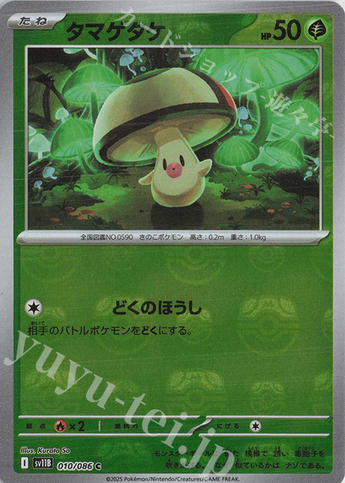 C タマゲタケ(マスターボール柄/ミラー仕様) | 販売 | [SV11B] 拡張パック ブラックボルト | ポケモンカードゲーム