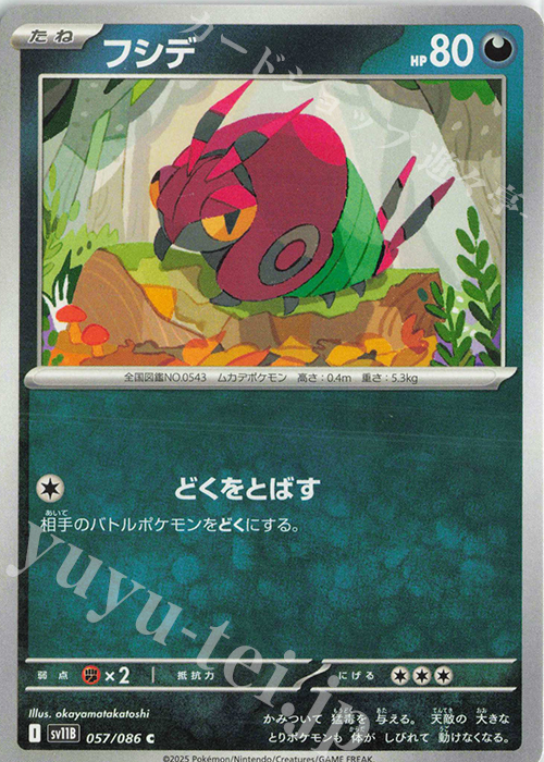 C フシデ | 販売 | [SV11B] 拡張パック ブラックボルト | ポケモンカードゲーム