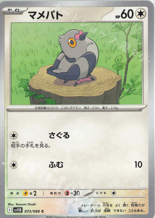 C マメパト | 販売 | [SV11B] 拡張パック ブラックボルト | ポケモンカードゲーム