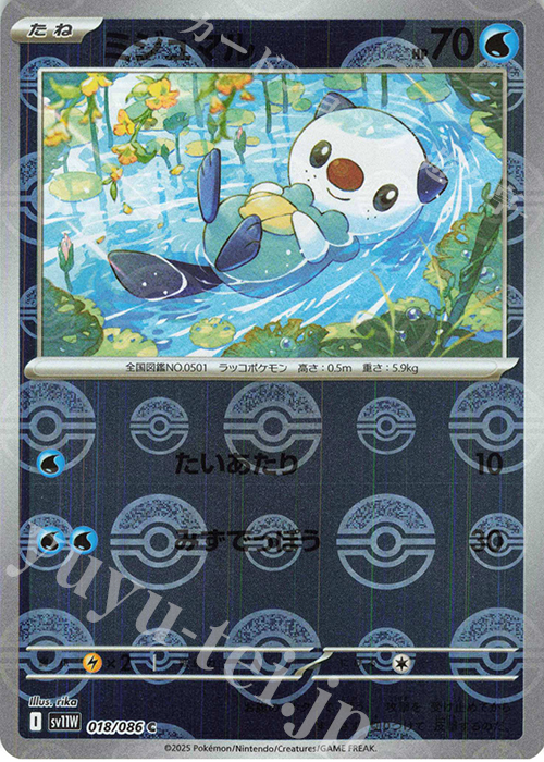 C ミジュマル(モンスターボール柄/ミラー仕様) | 販売 | [SV11W] 拡張パック ホワイトフレア | ポケモンカードゲーム
