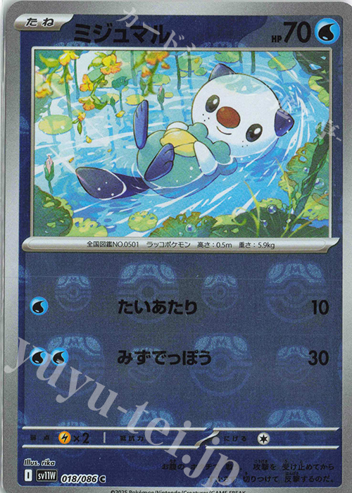 C ミジュマル(マスターボール柄/ミラー仕様) | 販売 | [SV11W] 拡張パック ホワイトフレア | ポケモンカードゲーム