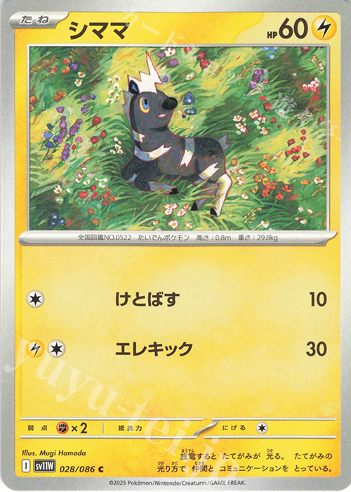 C シママ | 販売 | [SV11W] 拡張パック ホワイトフレア | ポケモンカードゲーム